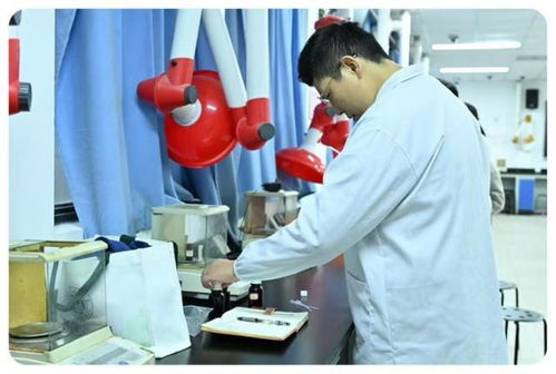 公共管理毕业生转身艺术品牌创始人 技术服务如何重塑职业路径